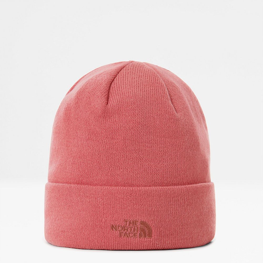 The North Face Beanies Mens Australia - The North Face Norm Shallow Rose (LPQ-980364)